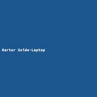 Harter Seide-Laptop