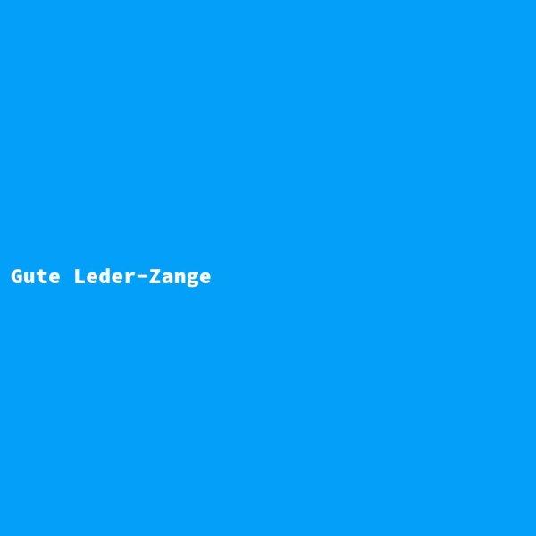 Gute Leder-Zange