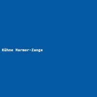 K&uuml;hne Marmor-Zange
