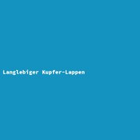 Langlebiger Kupfer-Lappen